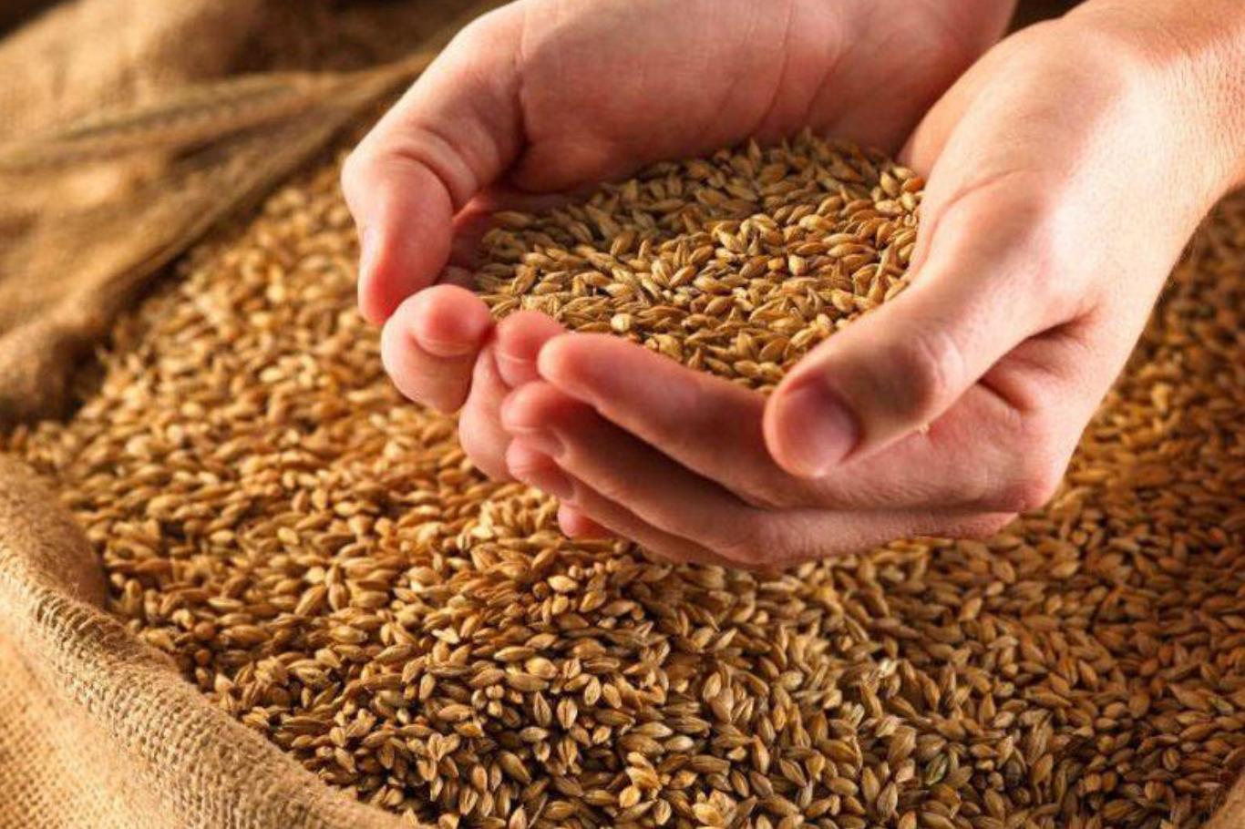 “Can sadakası” veya “Beden sadakası” olan "Fitre"nizi verdiniz mi? “Can sadakası” veya “Beden sadakası” olan "Fitre"nizi verdiniz mi?